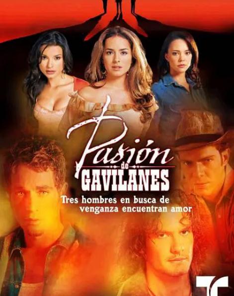 歐美劇【隱秘的激情/Pasión de gavilanes】2003年