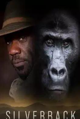 紀錄片【銀背大猩猩/yinbeidaxingxing】2024年