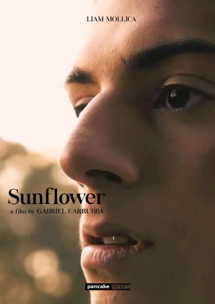 電影【向日葵/Sunflower】2023年