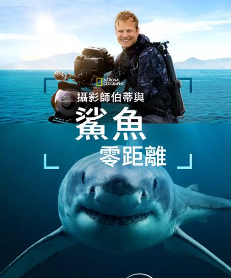 紀錄片【攝影師伯蒂與鯊魚零距離/攝影師貝爾蒂與鯊魚零距離】2025年