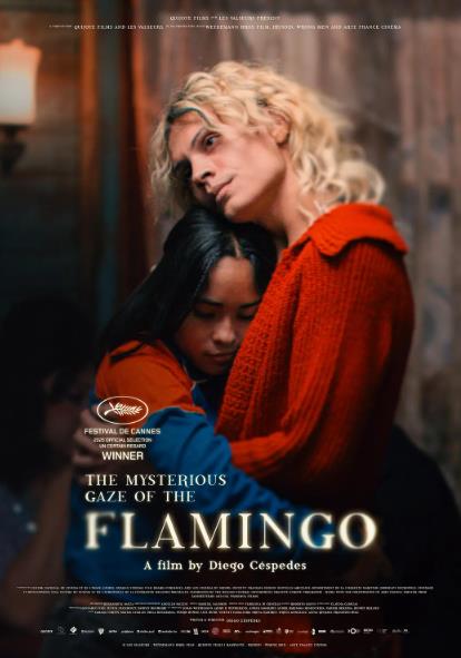 電影【粉紅火鶴的神秘凝視/弗拉明戈的神秘眼神】2025年