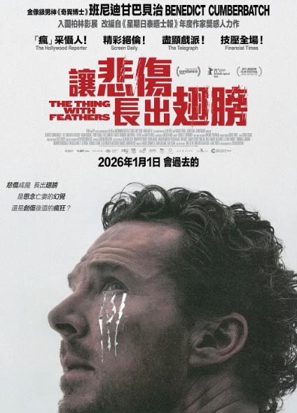 電影【長翅膀的東西/讓悲傷長出翅膀/悲傷長了翅膀】20025年