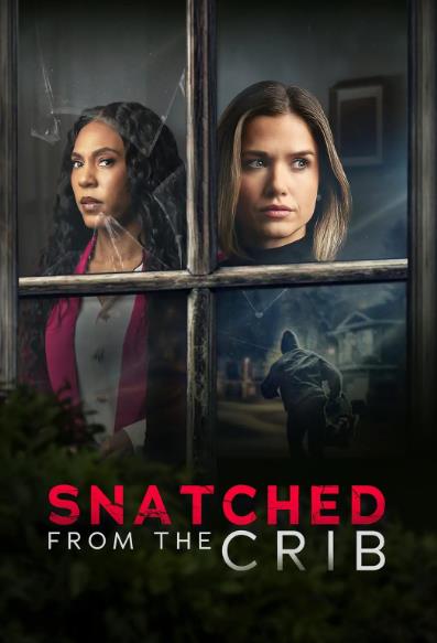 電影【搖籃劫嬰/Snatched from the Crib】2025年